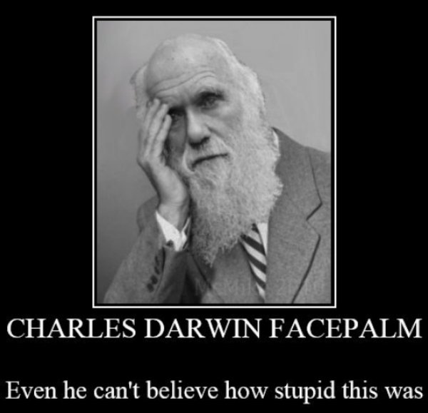 stupid-people.jpg
