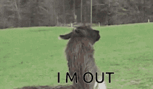 tenor (1).gif