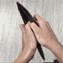 tenor(4).gif