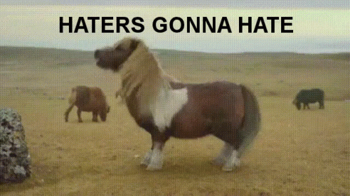tenor.gif