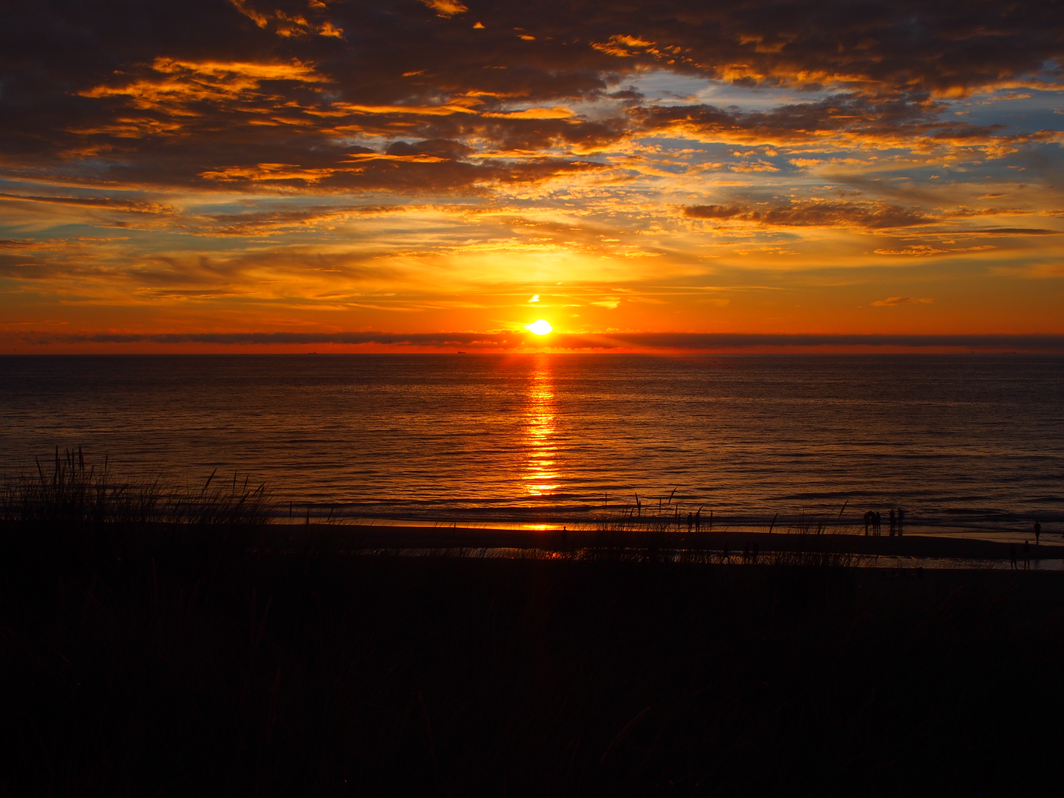 texel2.png