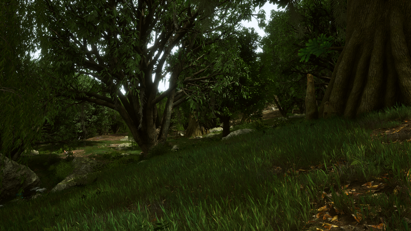 The Elder Scrolls IV  Oblivion Remastered Screenshot 2025.05.02 - 20.18.45.16.png
