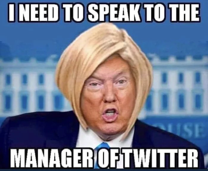 The-Karen-in-Chief.jpg