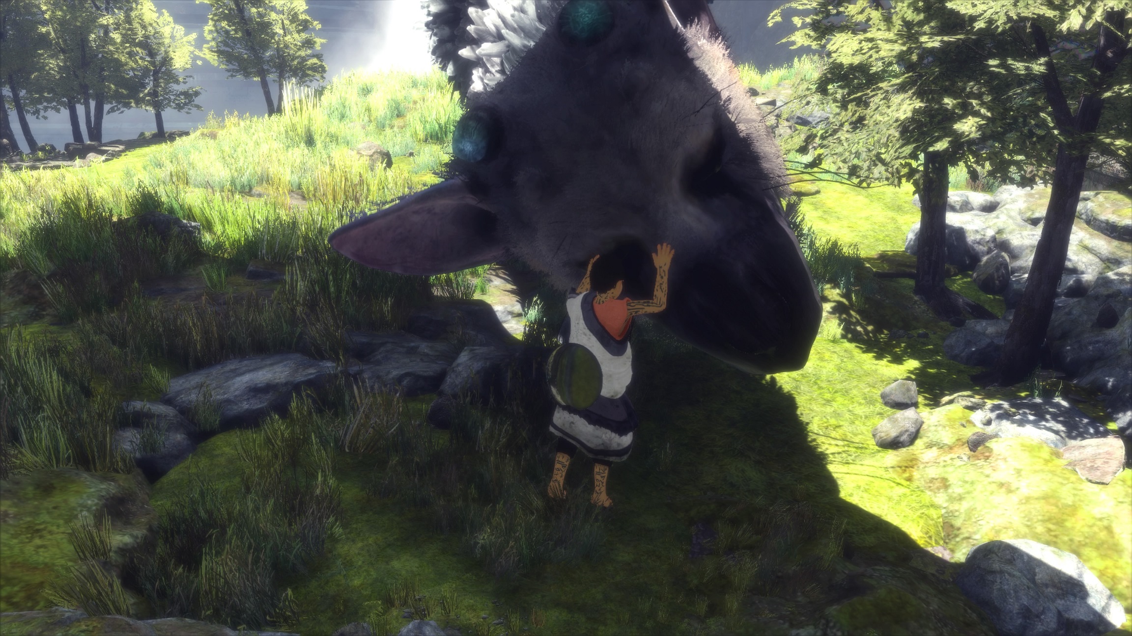 The Last Guardian™_20161207222102_2.jpg