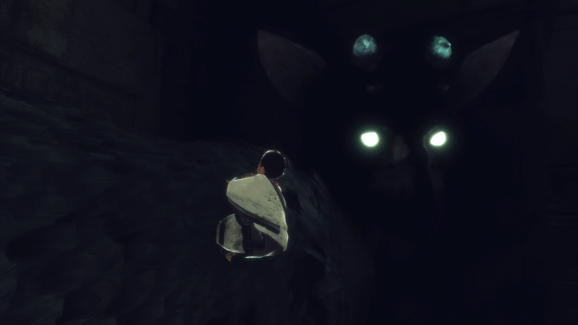 The Last Guardian™_20161209132026.jpg