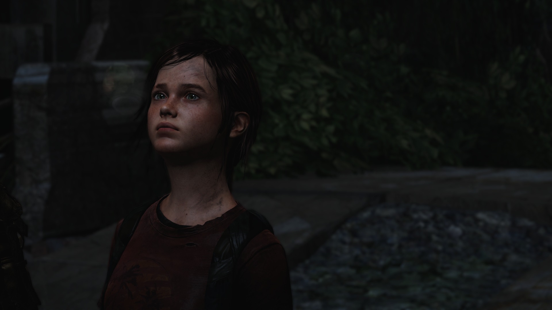 The Last of Us™ Remastered_20140730022440.jpg