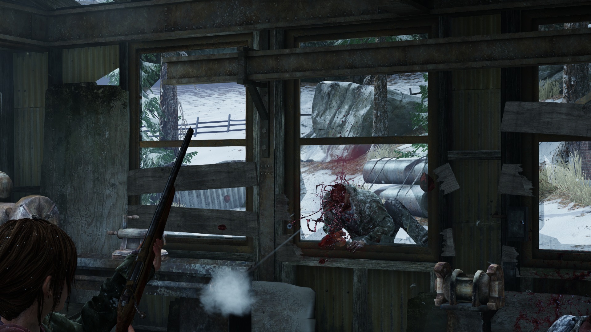 The Last of Us™ Remastered_20140801082208.jpg