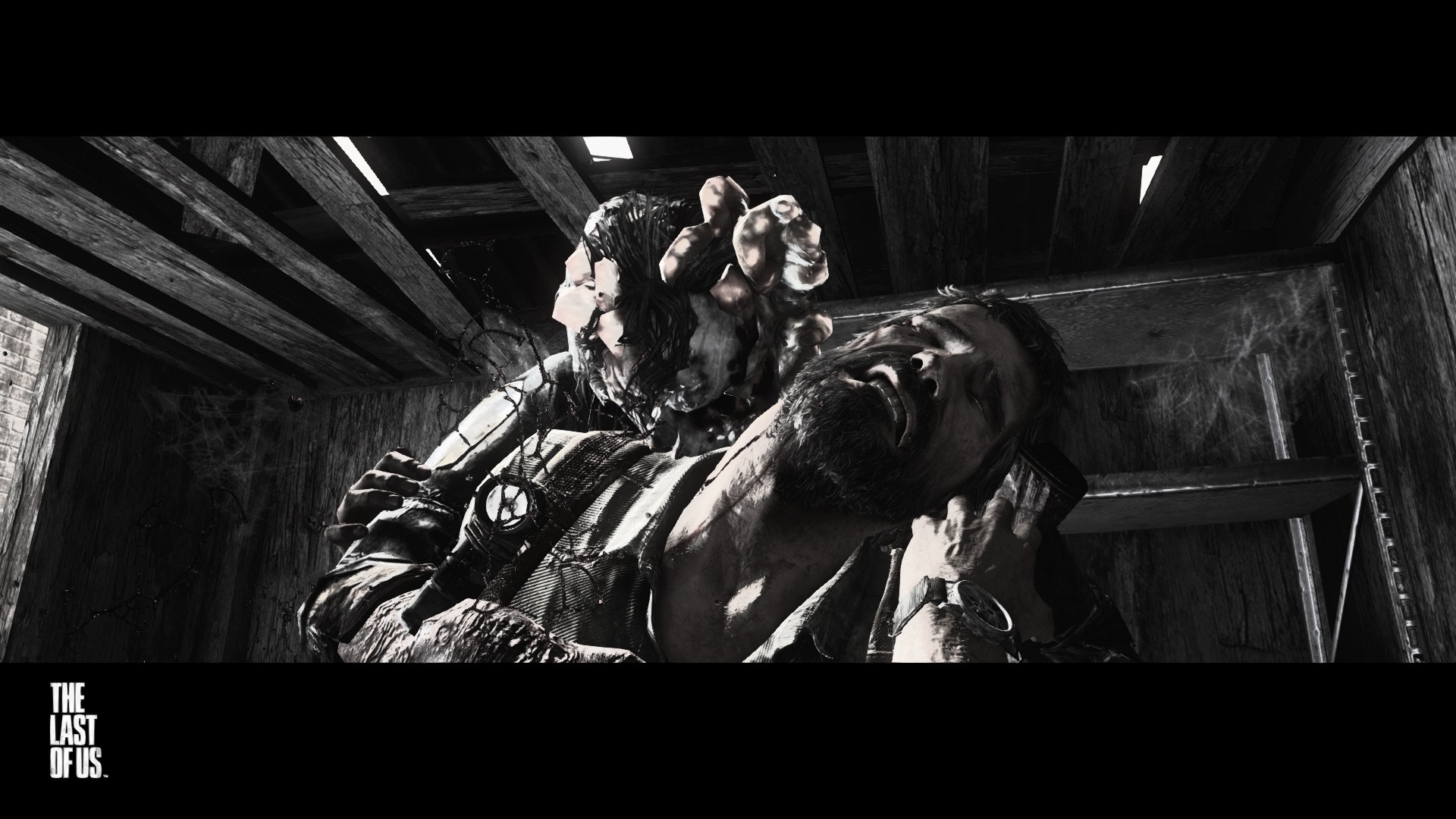 The Last of Us™ Remastered_20140803002028.jpg