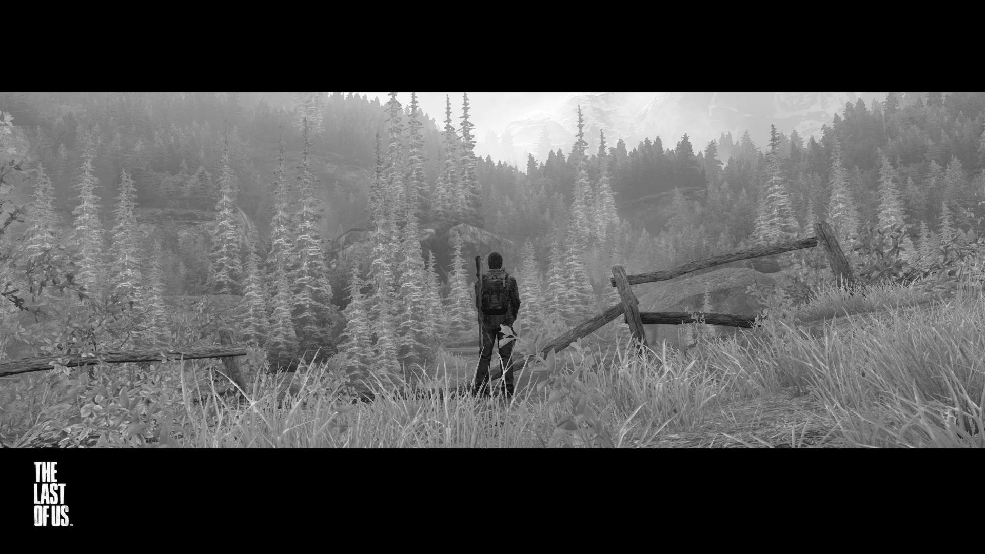 The Last of Us™ Remastered_20140803232000.jpg