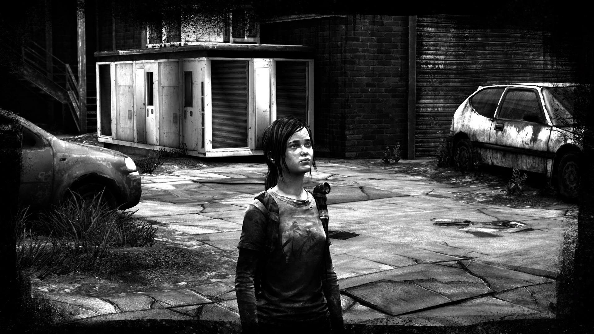 The Last of Us™ Remastered_20140804211749.jpg