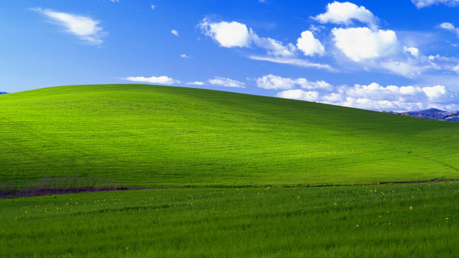 the-most-famous-windows-wallpaper-ever-turns-20-505668-2.jpg