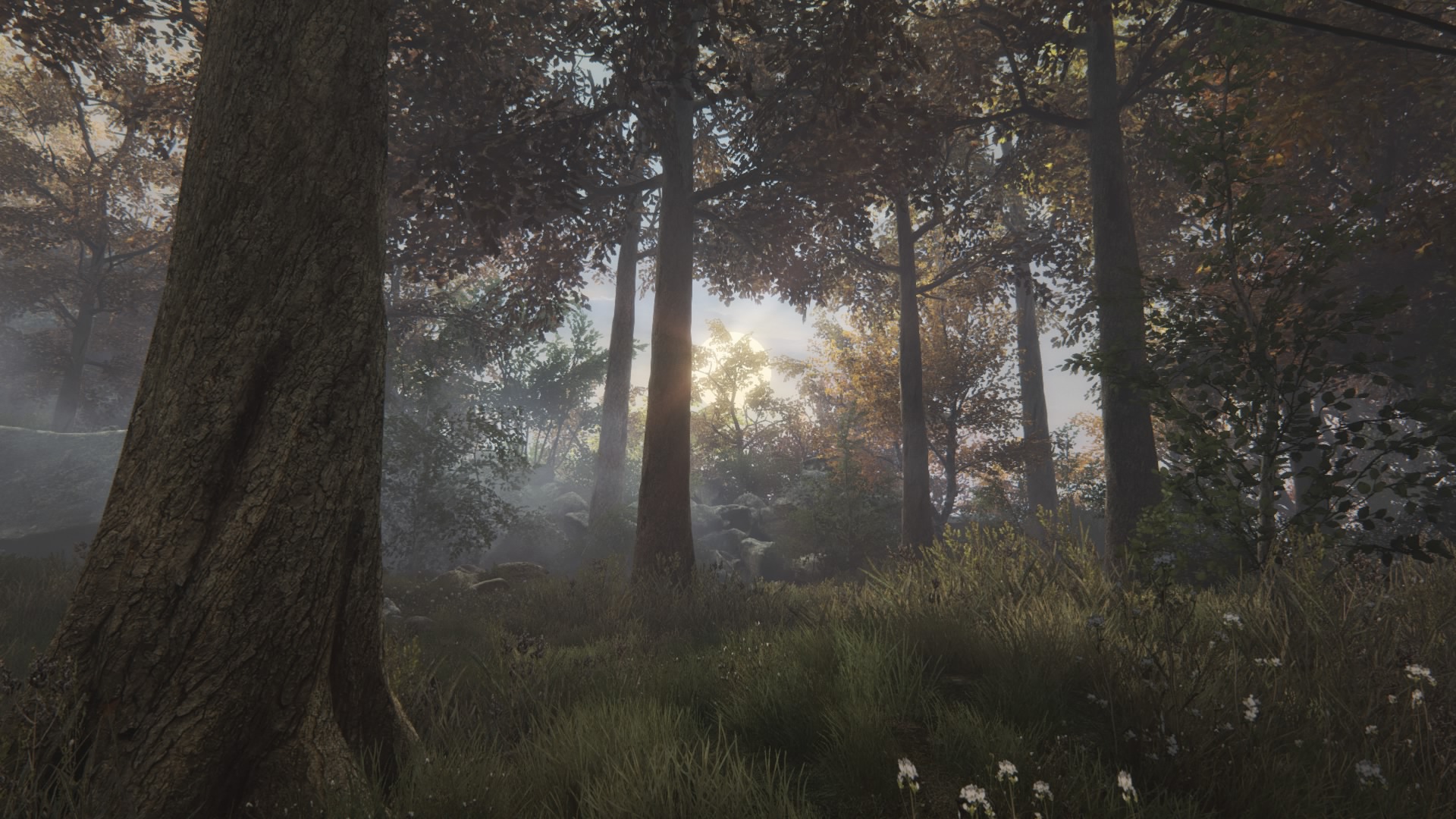 The Vanishing of Ethan Carter_20150717005044.jpg