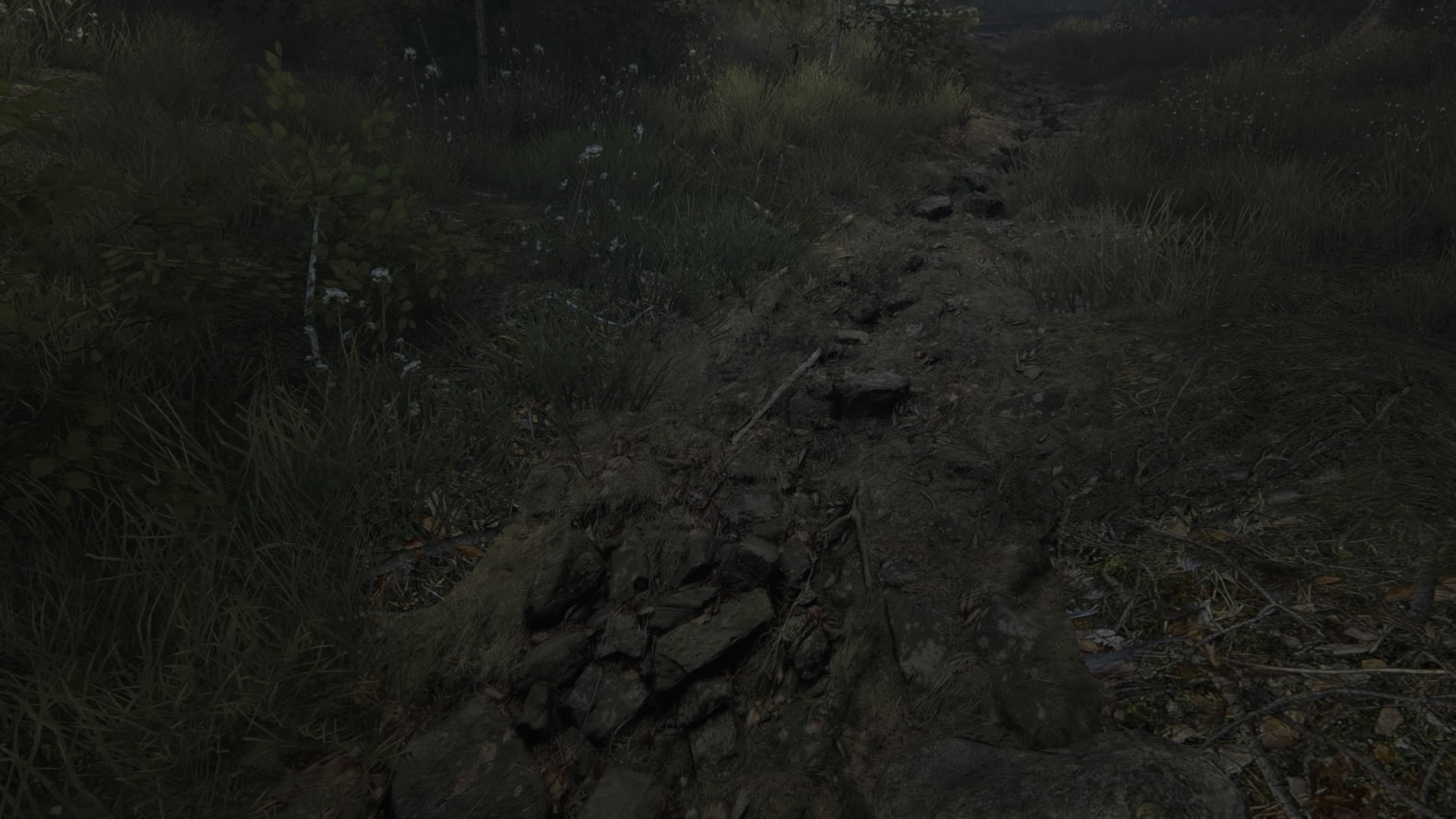 The Vanishing of Ethan Carter_20150717005245.jpg
