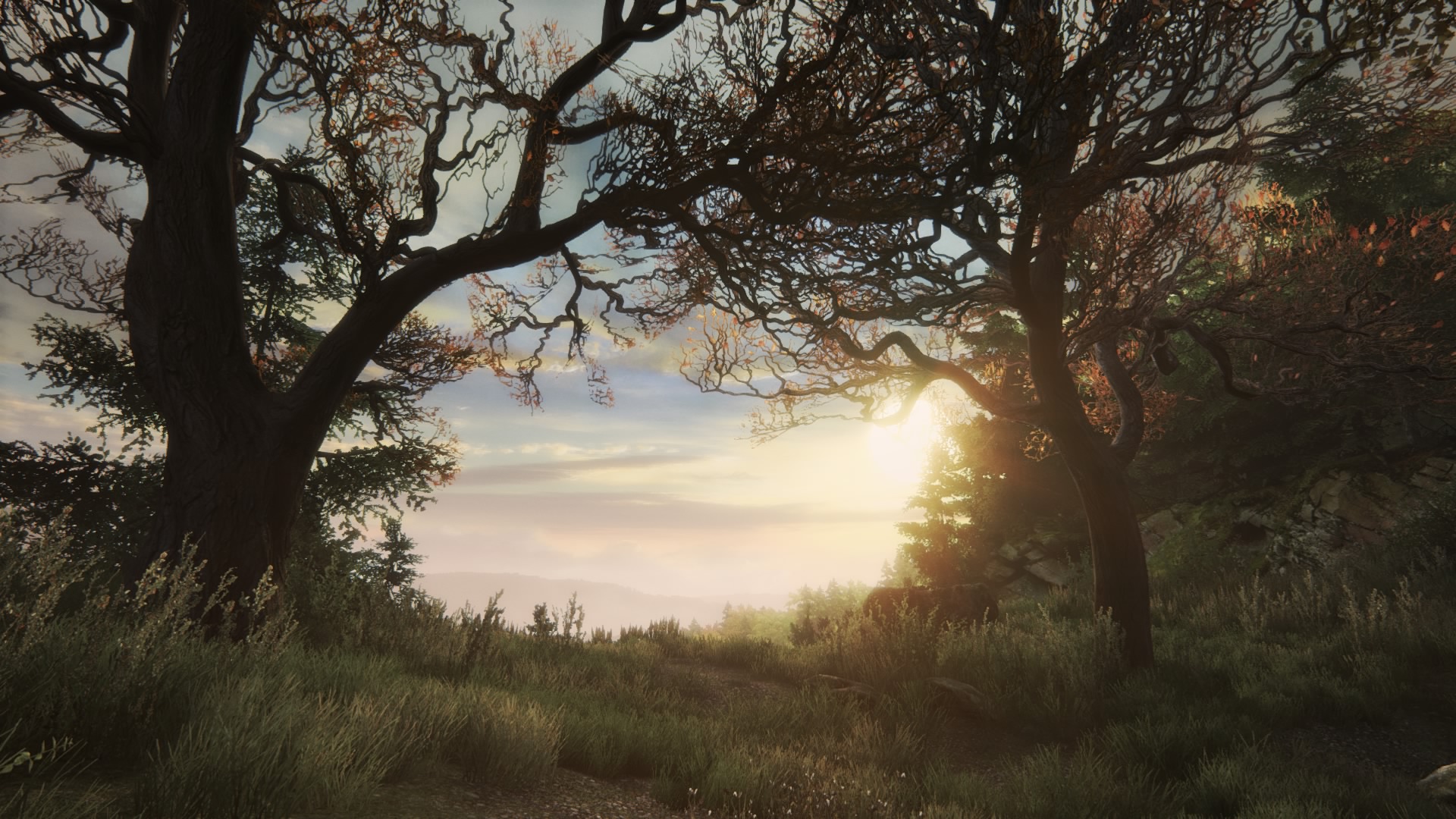 The Vanishing of Ethan Carter_20150717011947.jpg