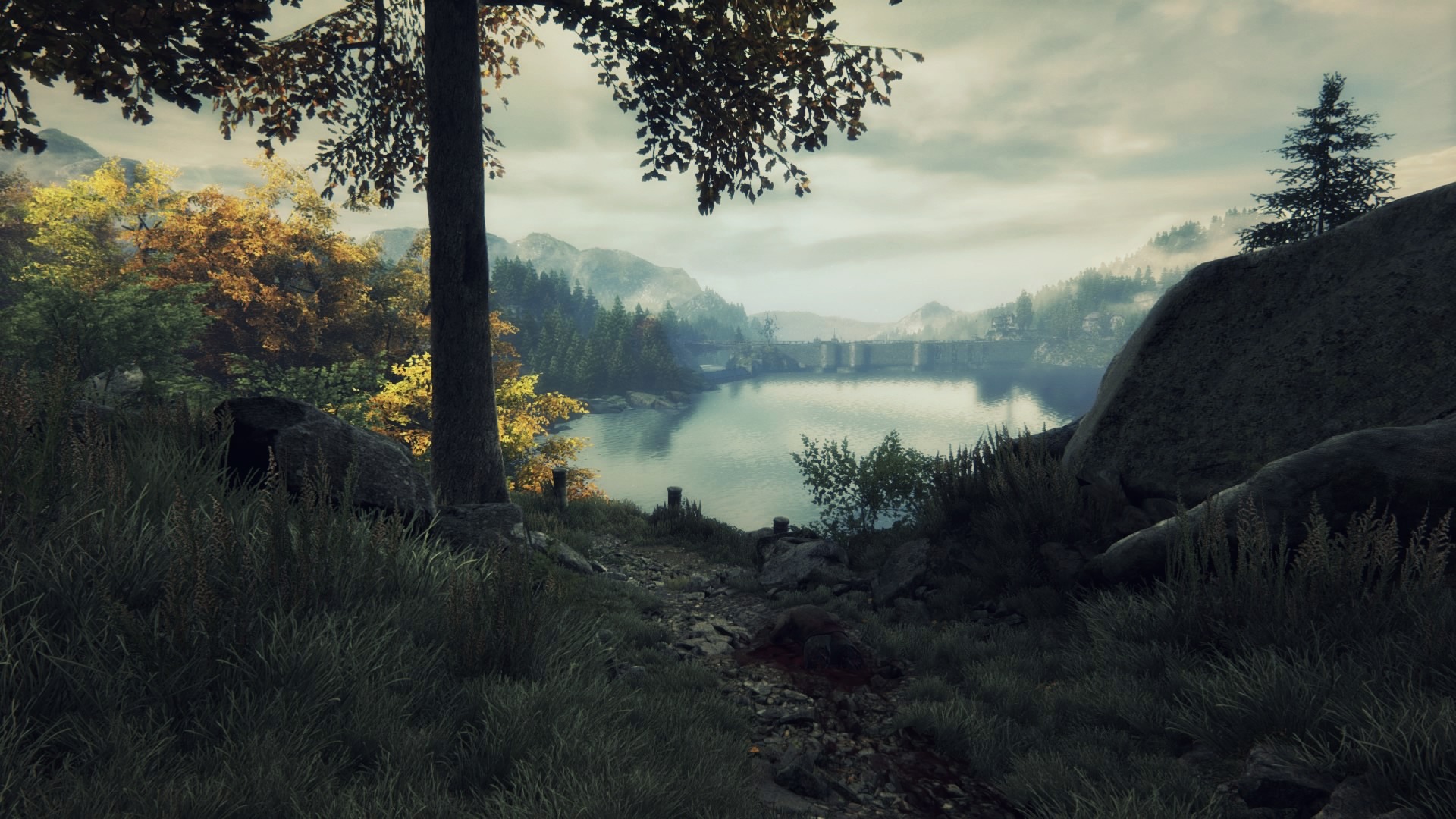 The Vanishing of Ethan Carter_20150720152514.jpg