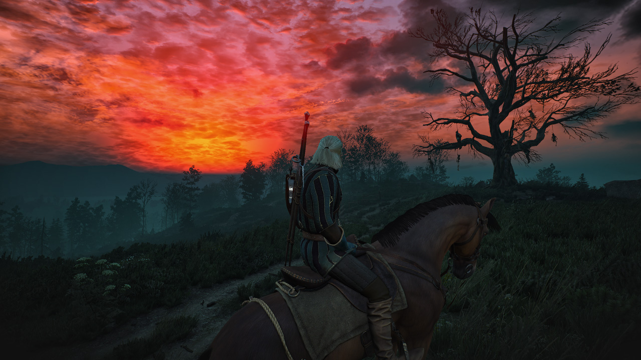 The Witcher 3 10.15.2016 - 19.48.21.02.jpg