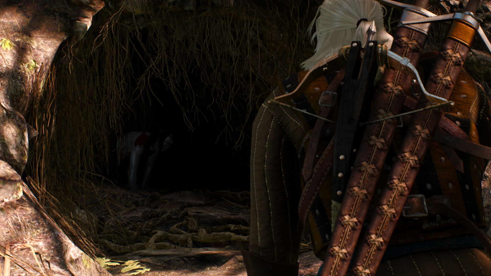 The Witcher 3 10.16.2016 - 20.15.23.11.jpg
