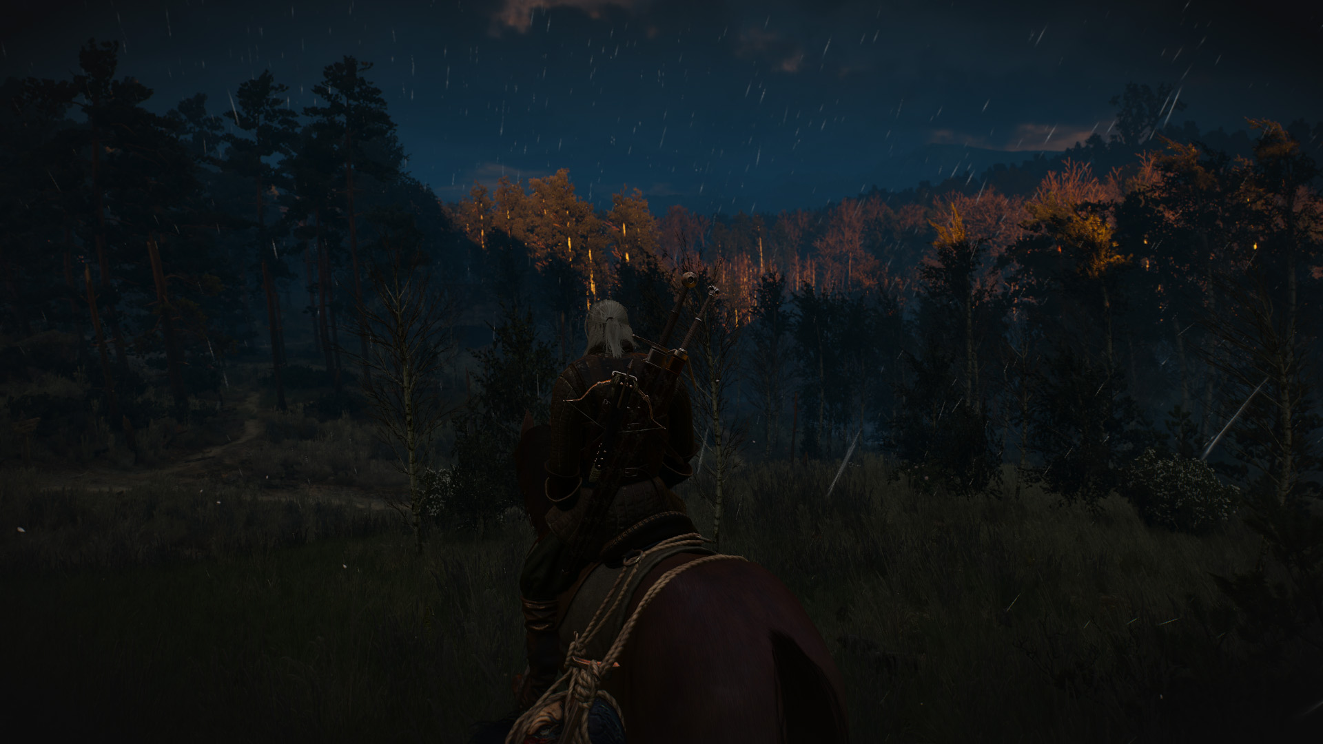 The Witcher 3 10.16.2016 - 20.45.07.17.jpg