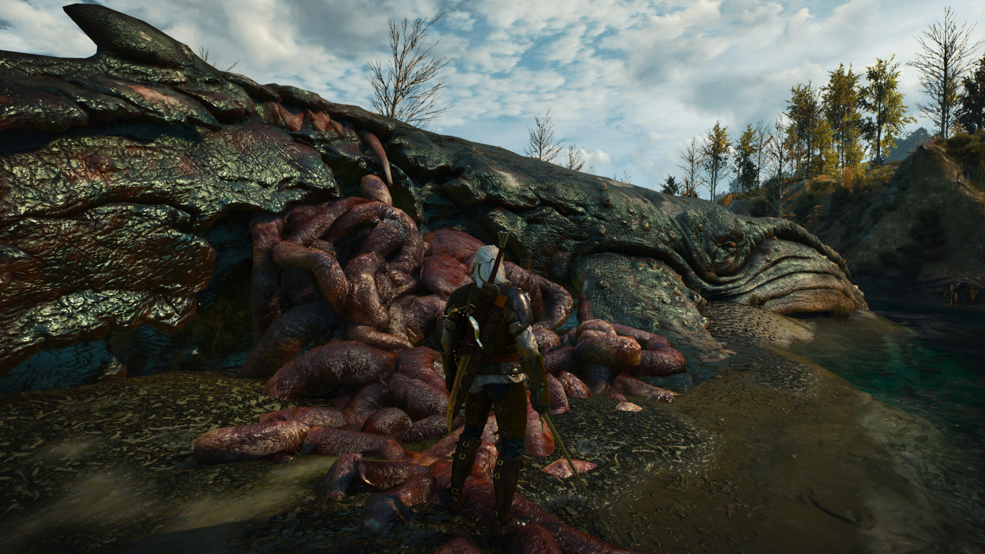 The Witcher 3 10.19.2016 - 20.55.46.01.jpg