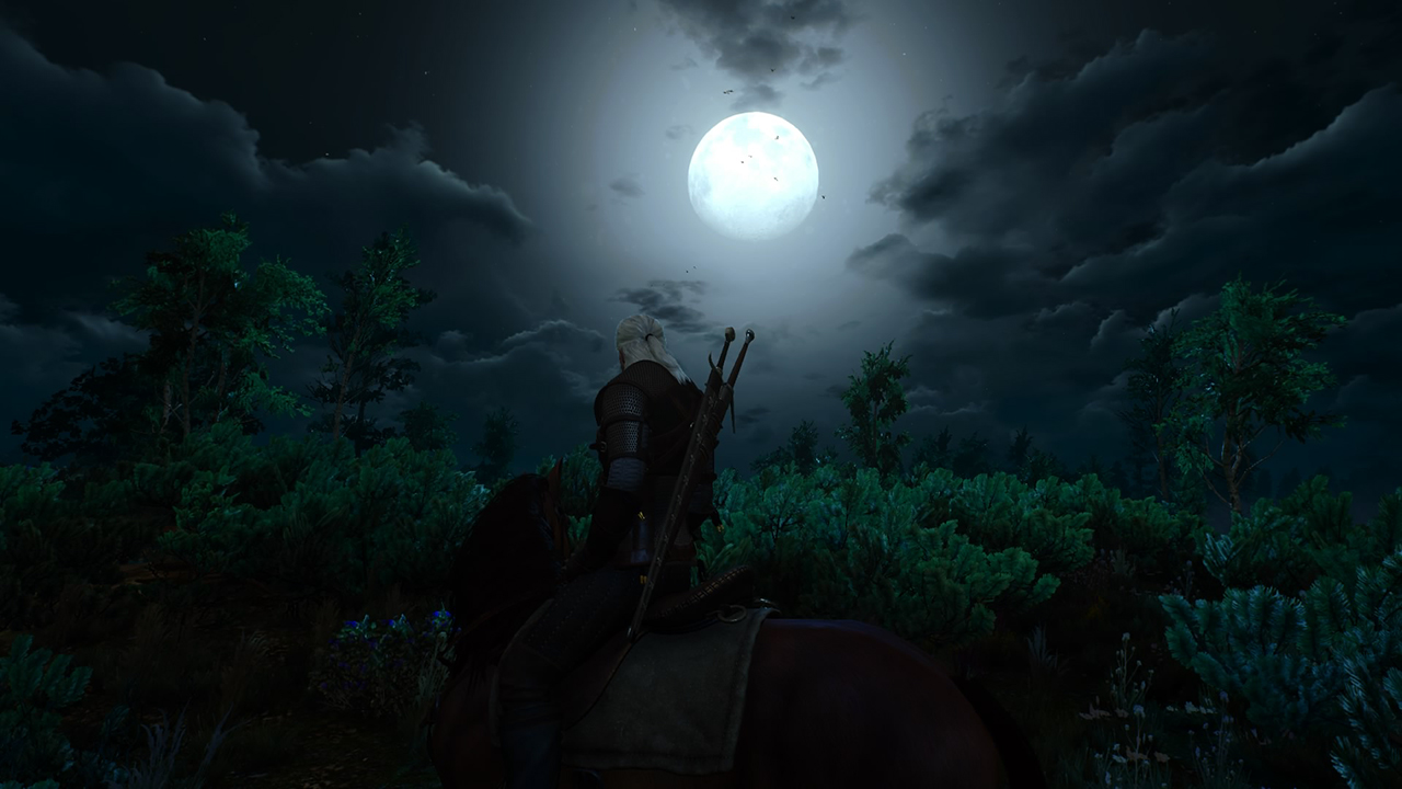 The-Witcher-3_-Wild-Hunt_20150515155810.jpg