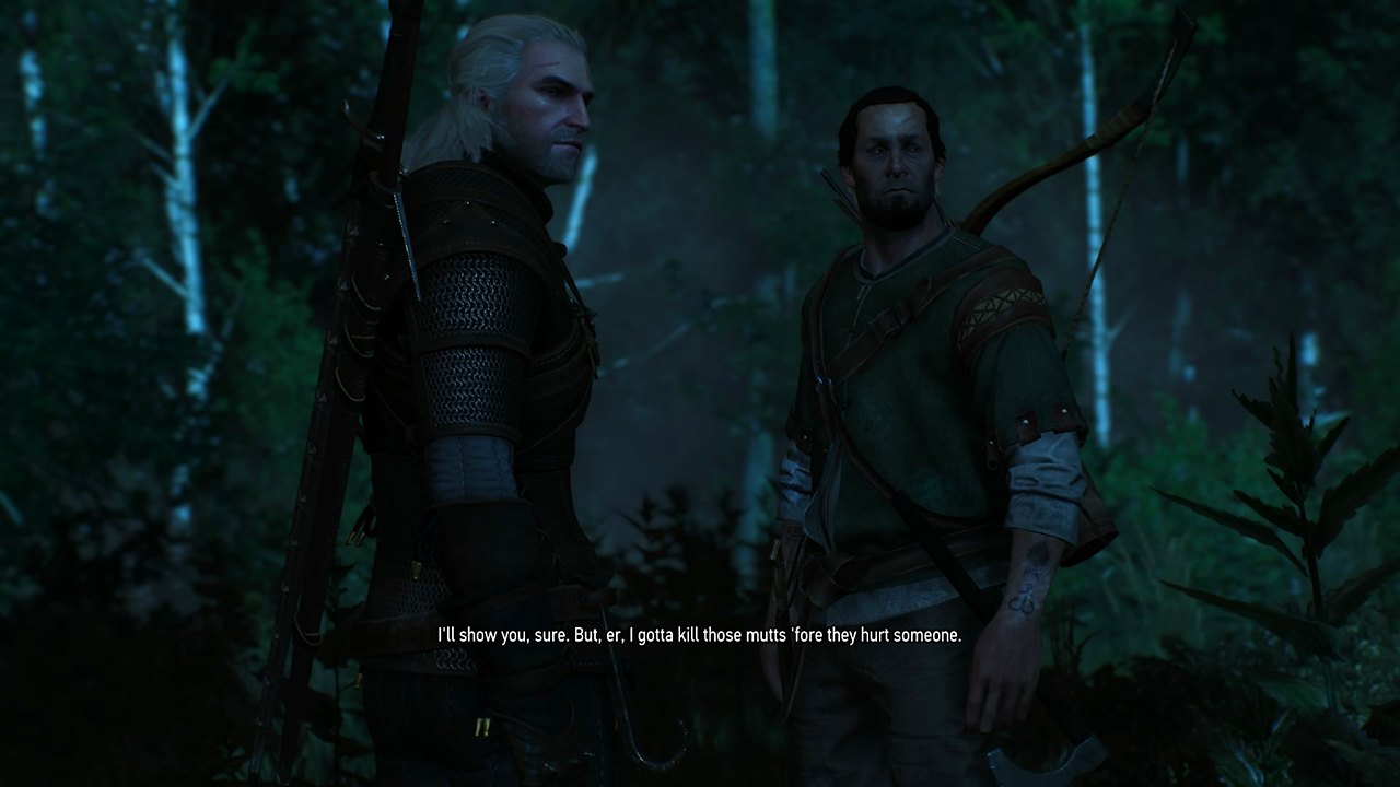 The-Witcher-3_-Wild-Hunt_20150515160403.jpg