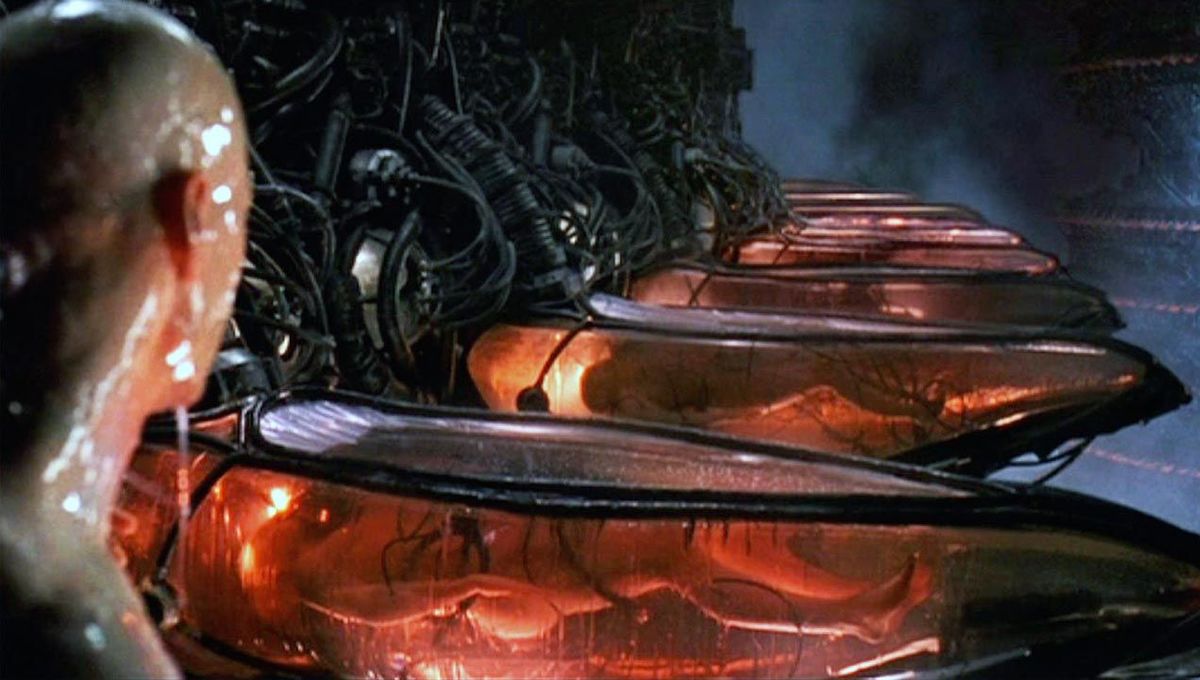 the_matrix_human_batteries.jpg
