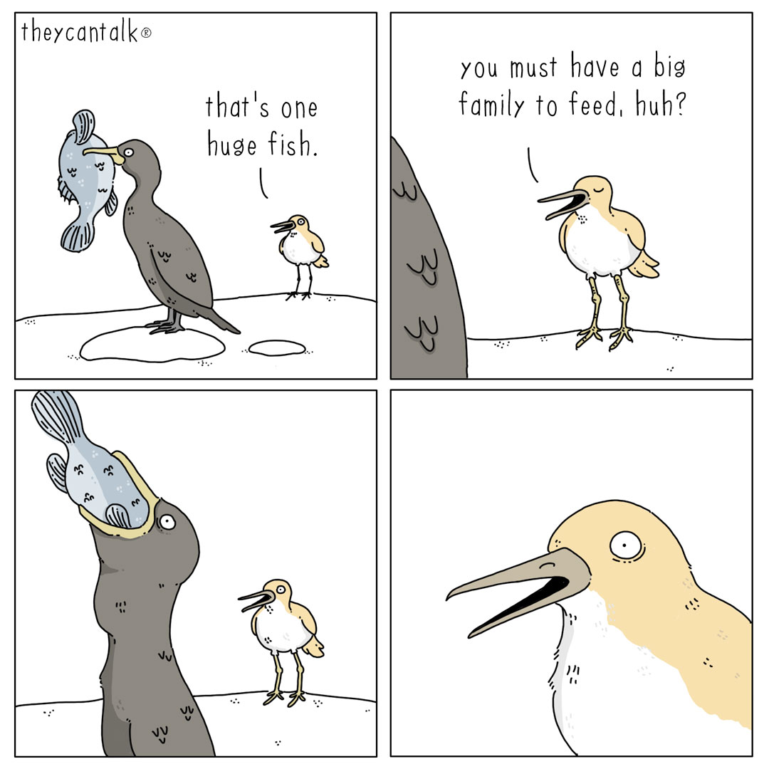 they can talk - kormoran.jpg