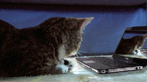 This+one+_2c159a0fb27ea4fd490722707fccfa89.gif