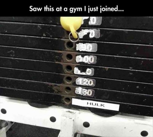 thumbs_picdump355_095.jpg