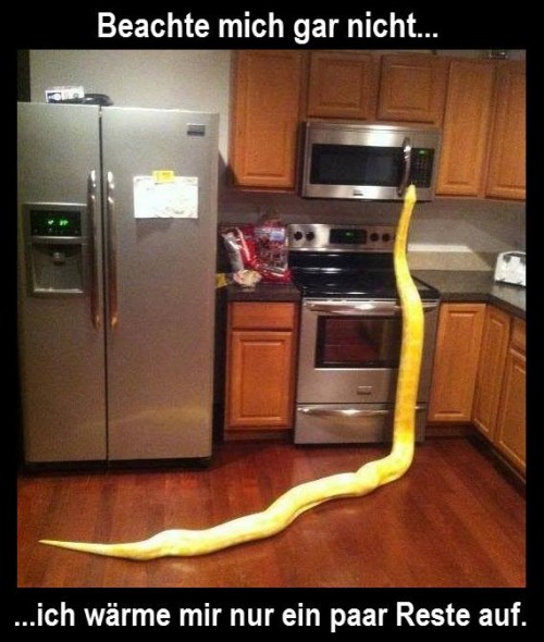 thumbs_picdump450_005.jpg