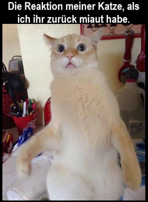thumbs_picdump450_006.jpg