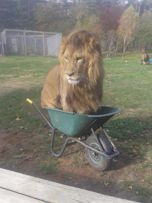 thumbs_picdump468_043.jpg