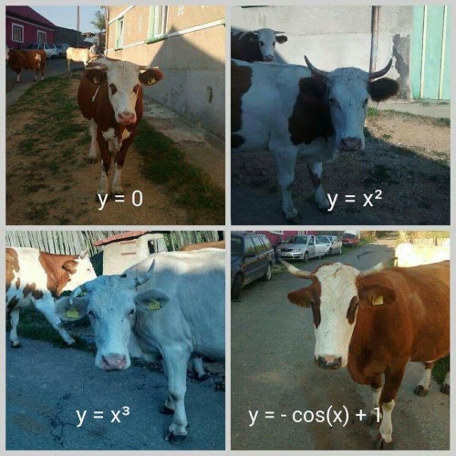 thumbs_picdump574_046.jpg