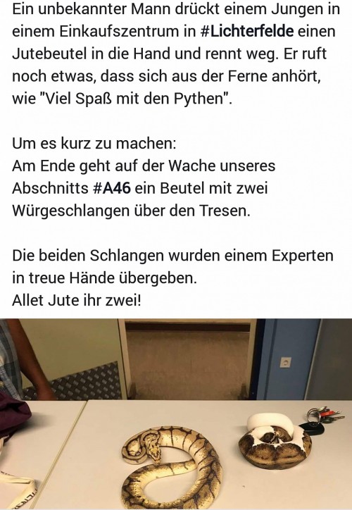 thumbs_picdump586_059.jpg