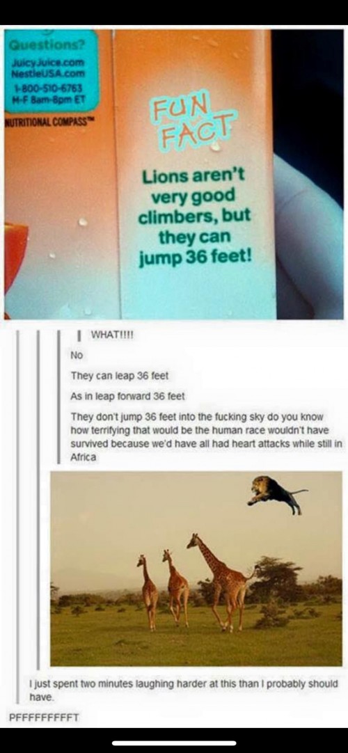 thumbs_picdump592_091.jpg