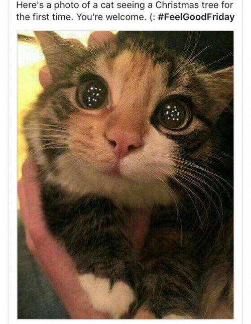 thumbs_picdump599_077.jpg