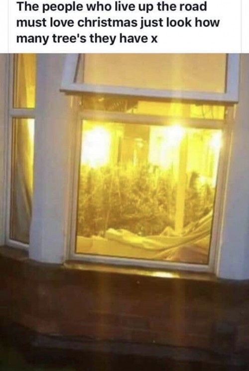 thumbs_picdump600_027.jpg