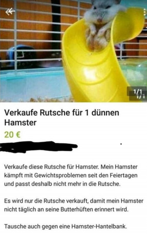 thumbs_picdump605_16.jpg
