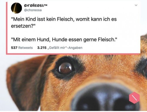 thumbs_picdump660_023.jpg