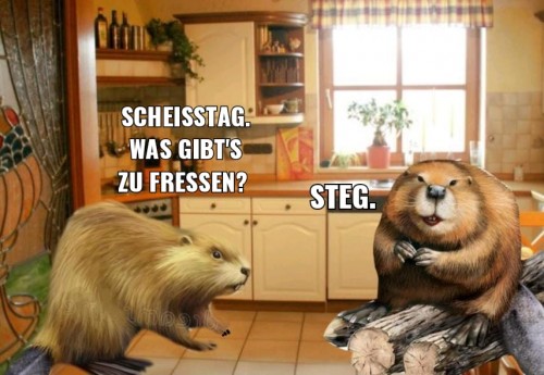 thumbs_picdump674_028.jpg