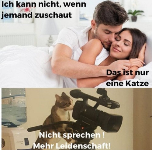 thumbs_picdump679_018.jpg