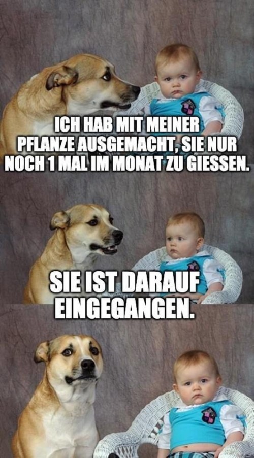 thumbs_picdump710_003.jpg