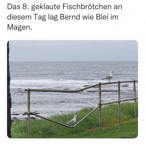 thumbs_picdump766_030.jpg