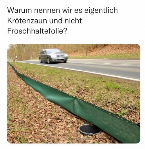 thumbs_picdump779_022.jpg