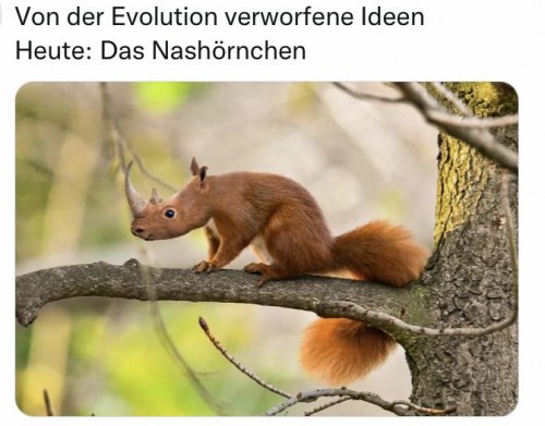thumbs_picdump797_079.jpg