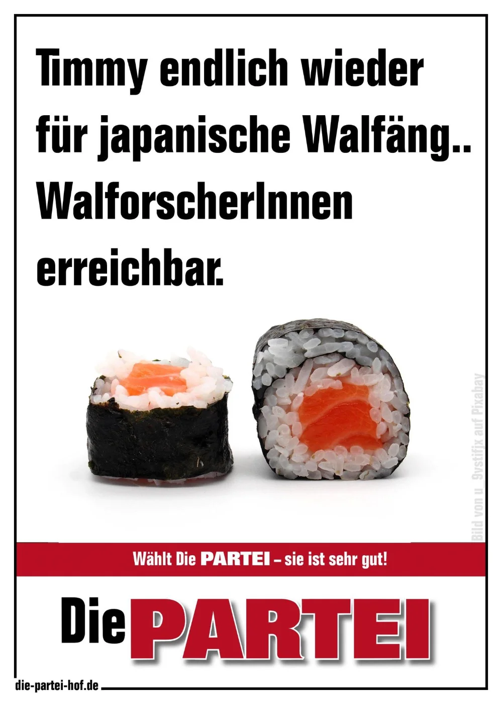 timmy sushi.webp