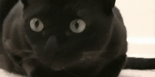 tl.gif