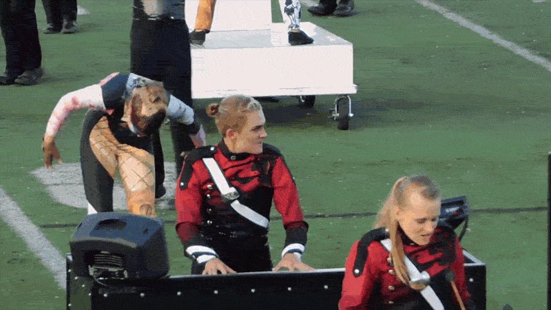 TLu6.gif