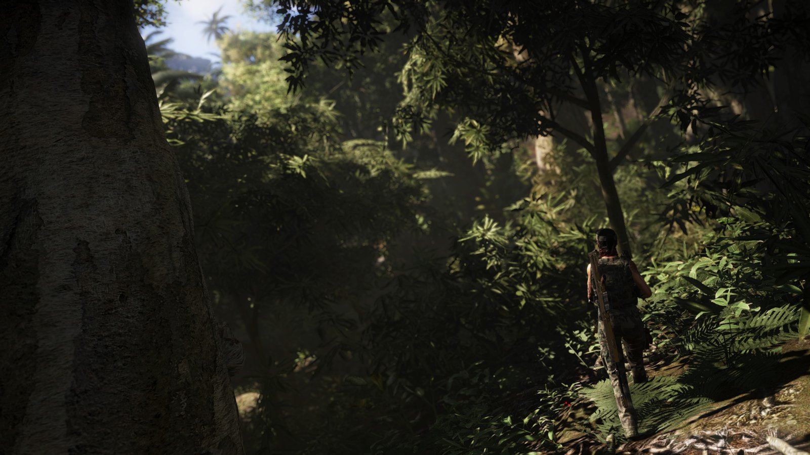 Tom Clancy's Ghost Recon® Wildlands_20181225194709.jpg