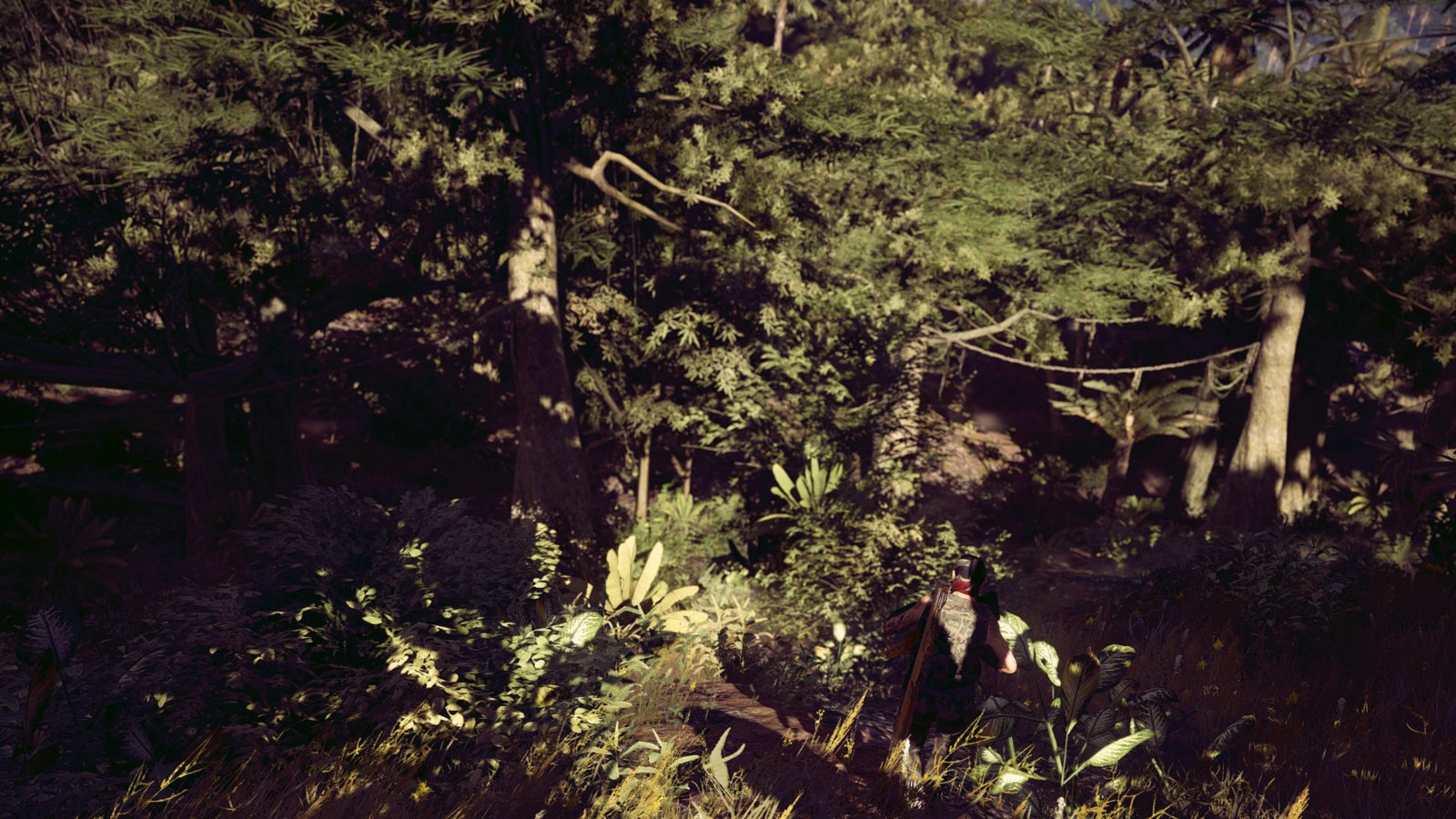 Tom Clancy's Ghost Recon® Wildlands_20181225194849.jpg